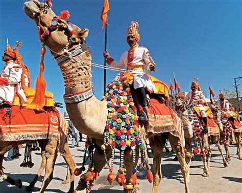 Omar Hussein's Desert Oasis Festival: A Celebration of Music, Culture, and Hilarious Camels?